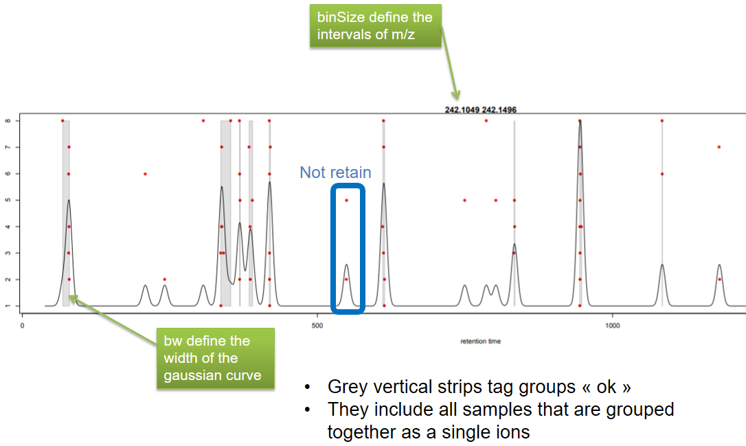 The picture recaps the groupChromPeaks output by showing the point plot where sometimes peaks are kept and sometimes not. It is written: "Grey vertical strips tag groups ok; they include all samples that are grouped together as a single ion."